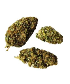 Pineapple Express Buds 1.png
